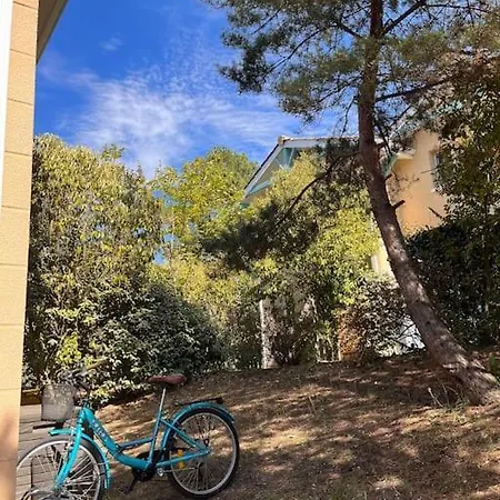 Petite Maison Au Verdon Sur Mer *