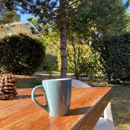 Petite Maison Au Verdon Sur Mer * Le Verdon-sur-Mer